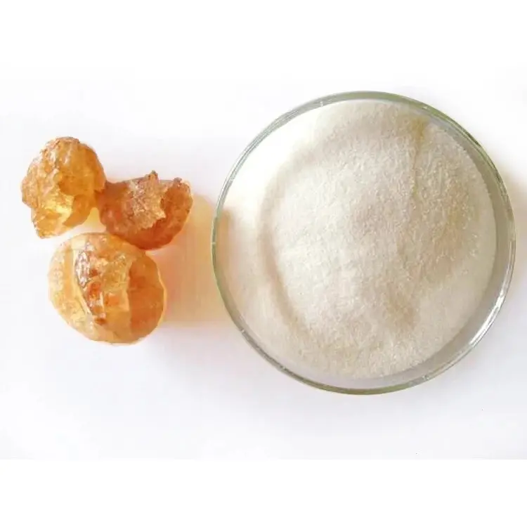 Revitalize Your Health with Organic Kidney Repair Prebiotic Fiber