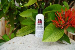 Organic Hair Colors Cover Gray Naturally + Pamper Your Body with Baka Beautiful 2 Organic Hair Colors Cover Gray Naturally + Pamper Your Body with Baka Beautiful