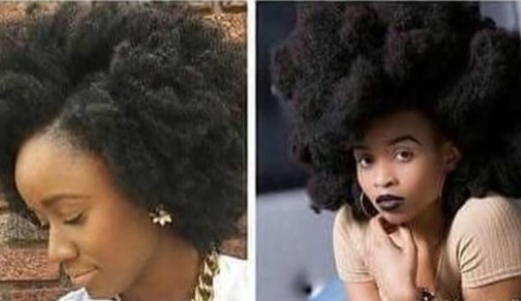 Sahara Clay for 4C Hair: A Natural Way to Manage, Cleanse Locs & Maintain Tightly Coiled Hair